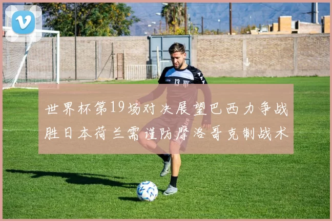 世界杯第19场对决展望巴西力争战胜日本荷兰需谨防摩洛哥克制战术