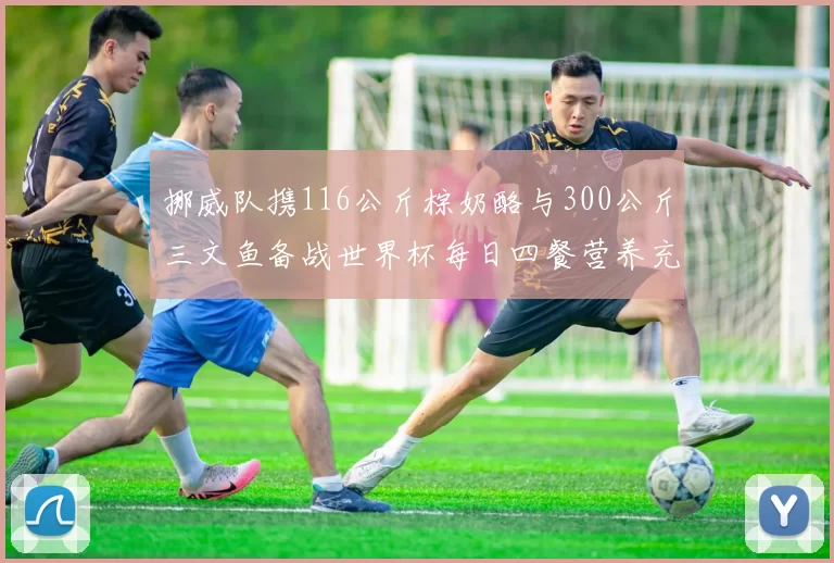 挪威队携116公斤棕奶酪与300公斤三文鱼备战世界杯每日四餐营养充足
