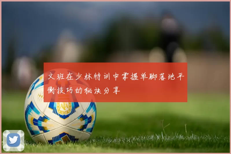 文班在少林特训中掌握单脚落地平衡技巧的秘诀分享